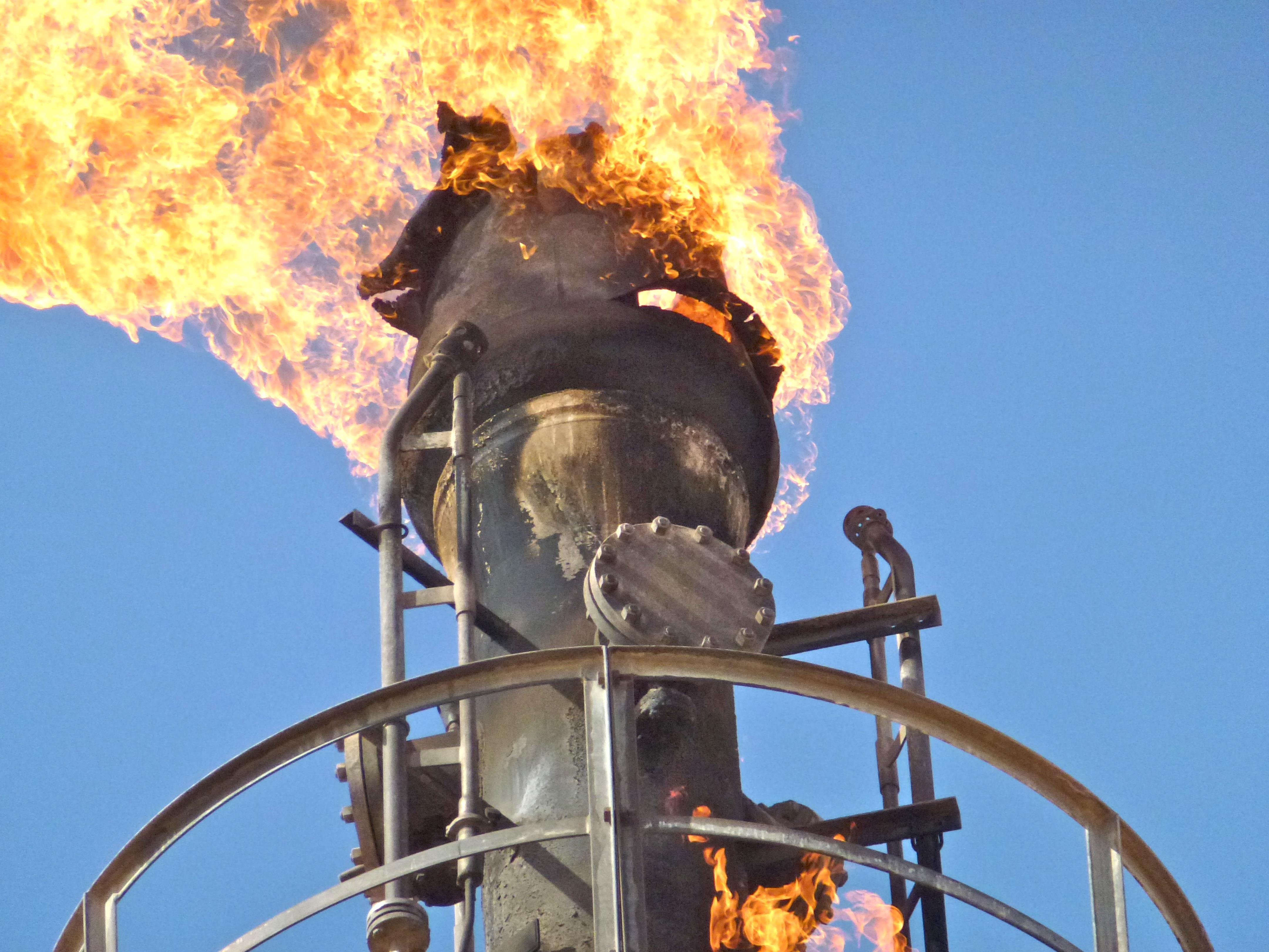 Live Flare Insepction Services